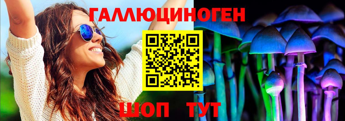 Псилоцибиновые грибы Psilocybine cubensis  Вход с VPN  Ржев 